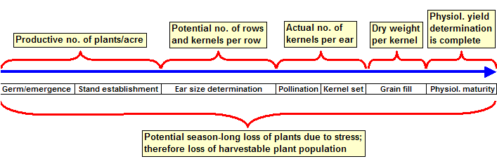 Yield components